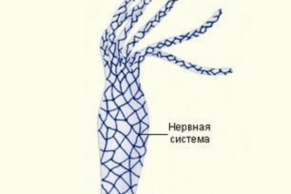 Кракен сайт kr2web in цены