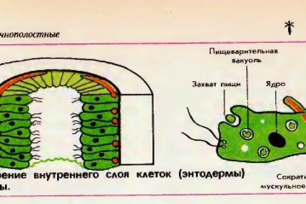 Маркетплейс кракен