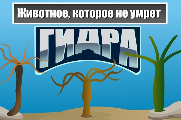 Кракен перейти